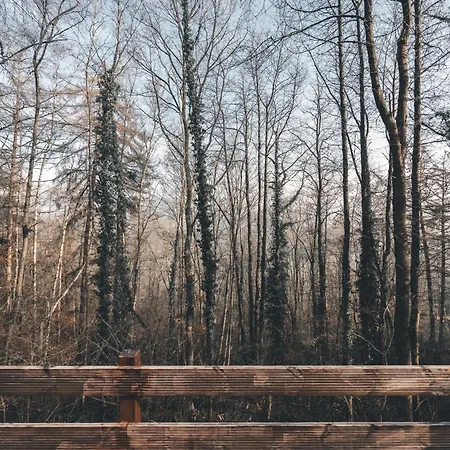 Cosy Wood * Hastière-par-delà