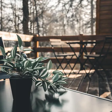 別荘 Cosy Wood Hastière-par-delà