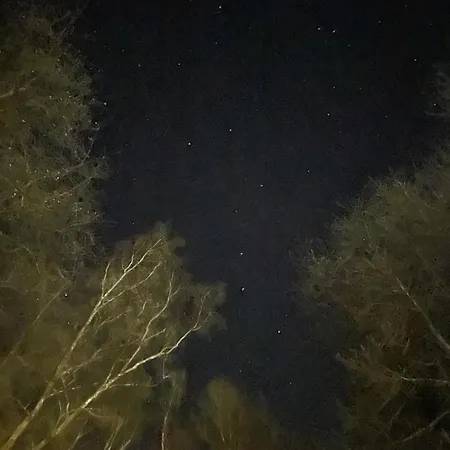 別荘 Cosy Wood Hastière-par-delà